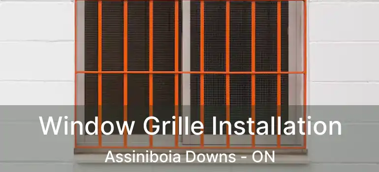  Window Grille Installation Assiniboia Downs - ON