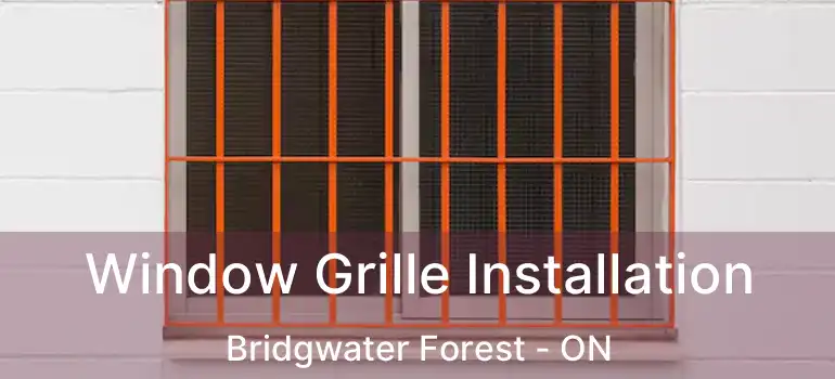  Window Grille Installation Bridgwater Forest - ON