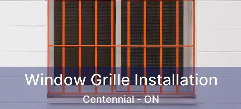  Window Grille Installation Centennial - ON