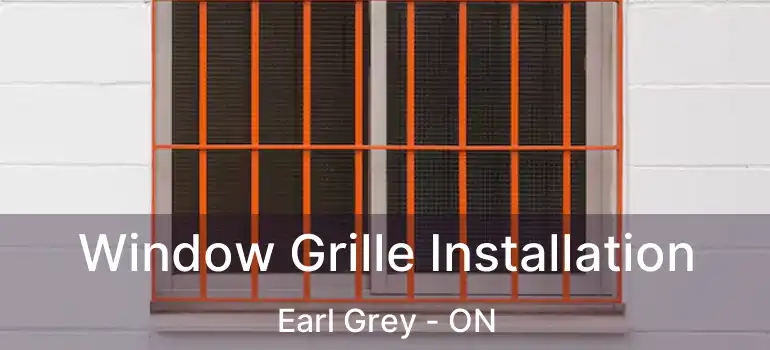  Window Grille Installation Earl Grey - ON