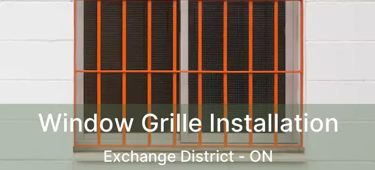  Window Grille Installation Exchange District - ON