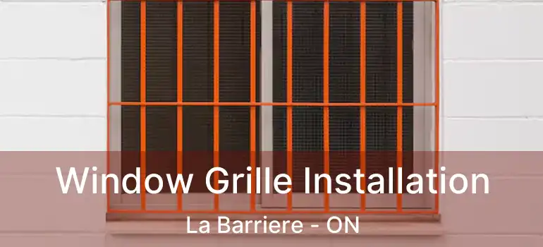  Window Grille Installation La Barriere - ON