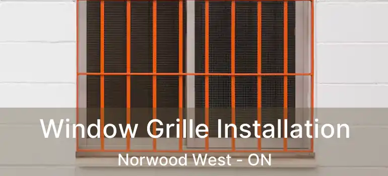  Window Grille Installation Norwood West - ON