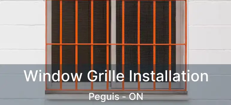  Window Grille Installation Peguis - ON