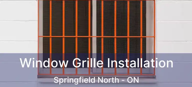  Window Grille Installation Springfield North - ON