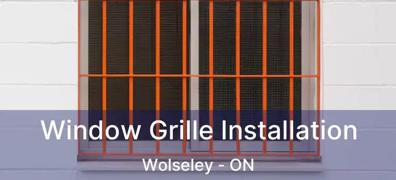  Window Grille Installation Wolseley - ON