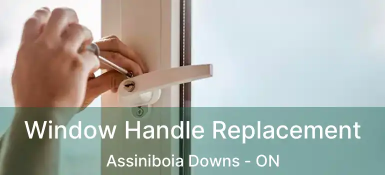  Window Handle Replacement Assiniboia Downs - ON