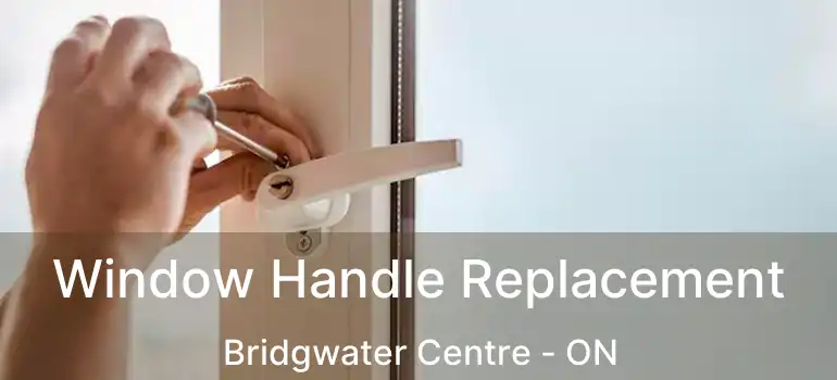  Window Handle Replacement Bridgwater Centre - ON