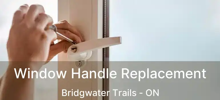  Window Handle Replacement Bridgwater Trails - ON