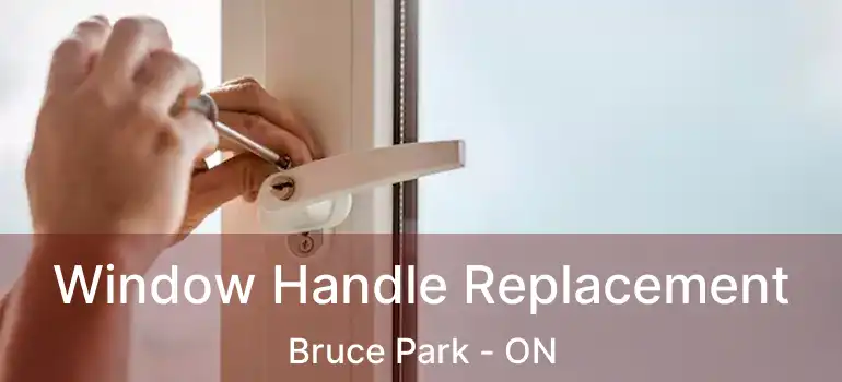  Window Handle Replacement Bruce Park - ON