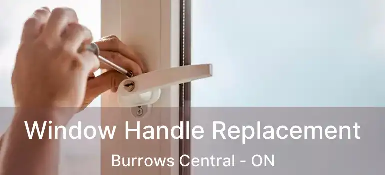  Window Handle Replacement Burrows Central - ON