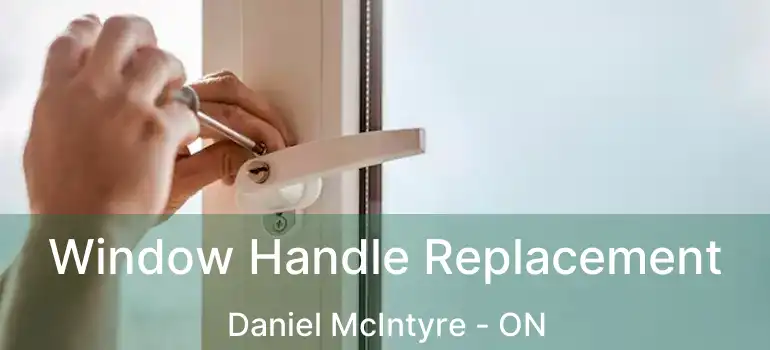  Window Handle Replacement Daniel McIntyre - ON
