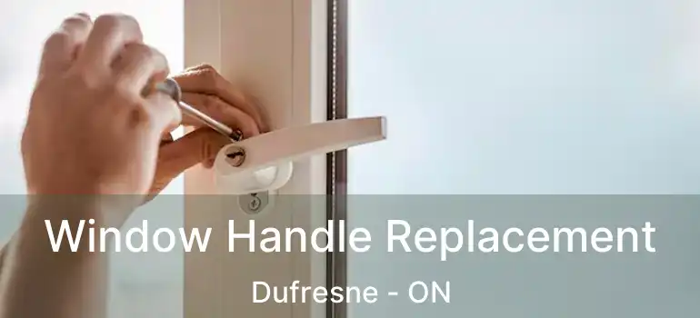  Window Handle Replacement Dufresne - ON