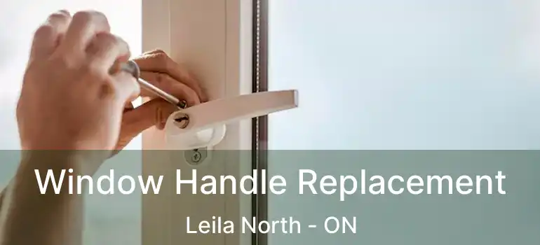 Window Handle Replacement Leila North - ON