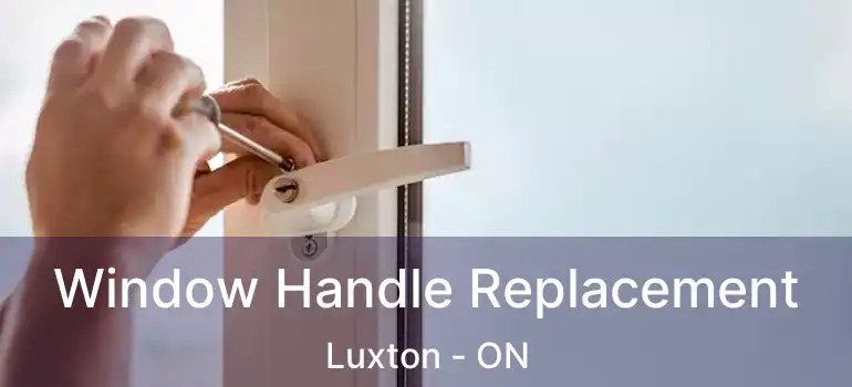  Window Handle Replacement Luxton - ON