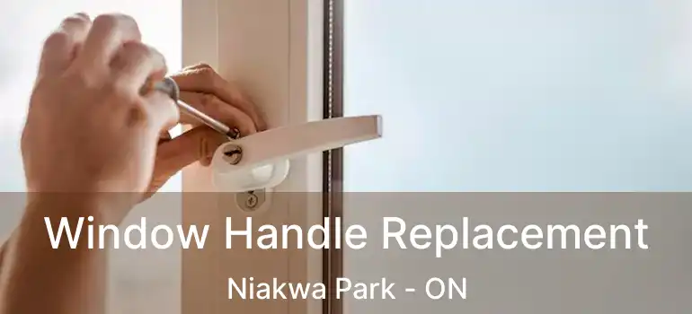  Window Handle Replacement Niakwa Park - ON
