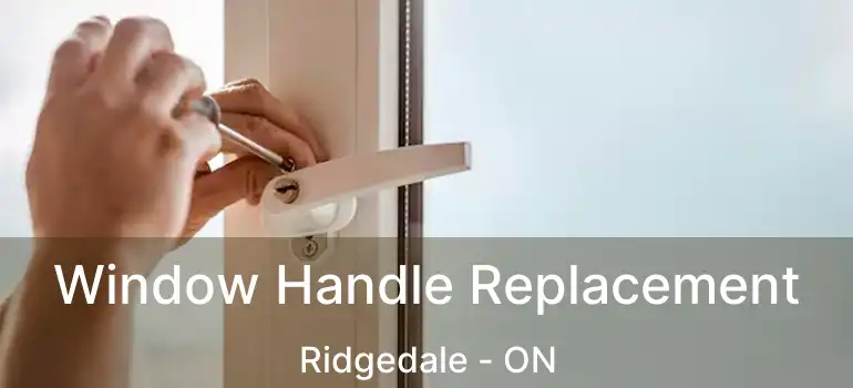  Window Handle Replacement Ridgedale - ON
