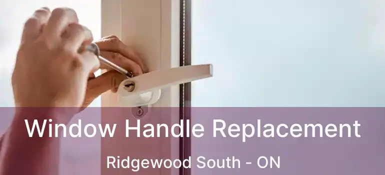  Window Handle Replacement Ridgewood South - ON