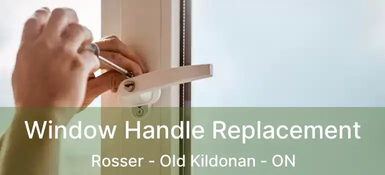  Window Handle Replacement Rosser - Old Kildonan - ON