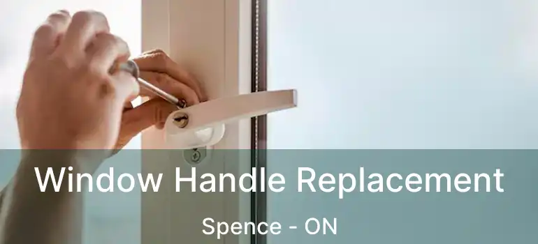  Window Handle Replacement Spence - ON