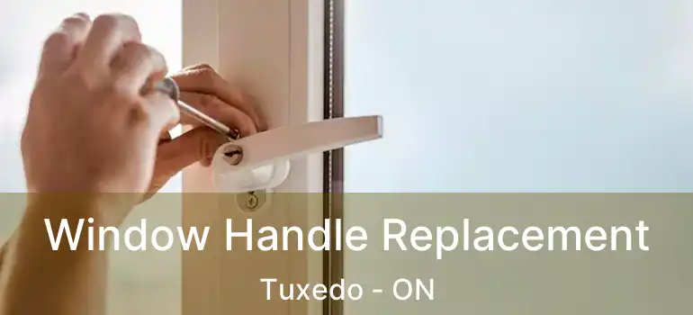  Window Handle Replacement Tuxedo - ON