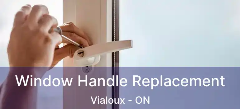  Window Handle Replacement Vialoux - ON