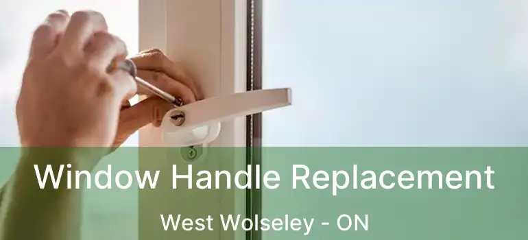  Window Handle Replacement West Wolseley - ON