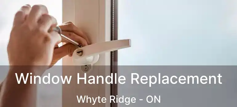  Window Handle Replacement Whyte Ridge - ON
