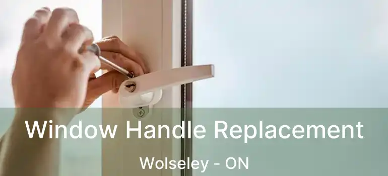  Window Handle Replacement Wolseley - ON