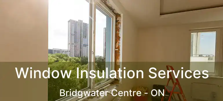  Window Insulation Services Bridgwater Centre - ON