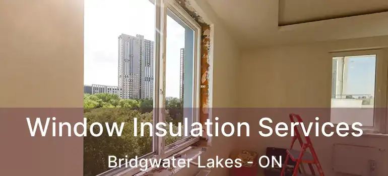  Window Insulation Services Bridgwater Lakes - ON