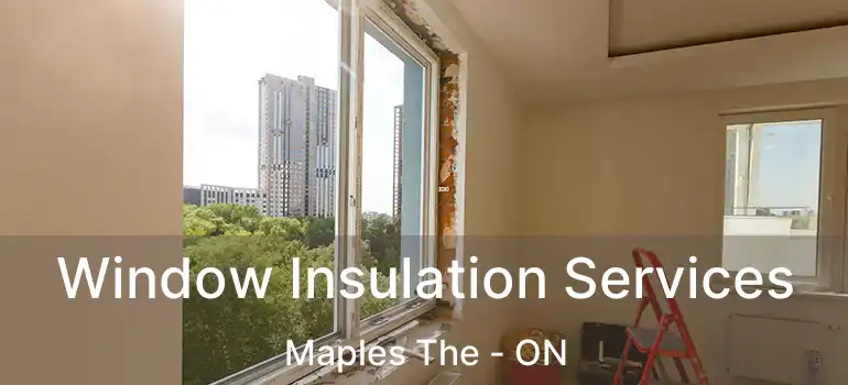  Window Insulation Services Maples The - ON