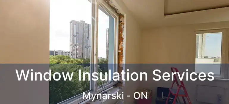  Window Insulation Services Mynarski - ON