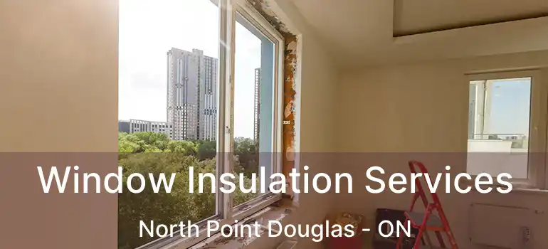  Window Insulation Services North Point Douglas - ON