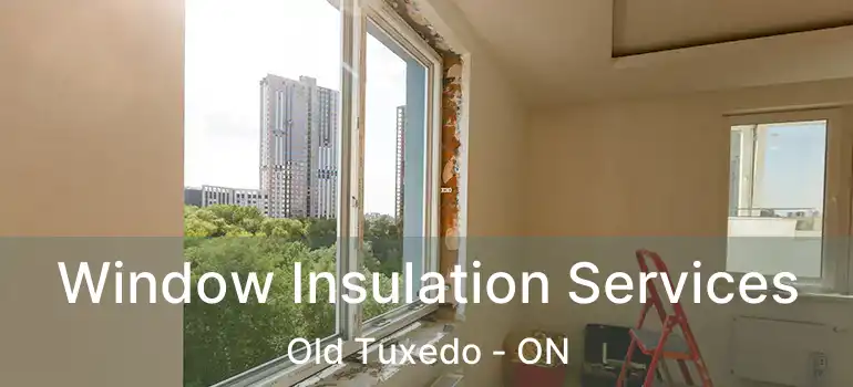  Window Insulation Services Old Tuxedo - ON