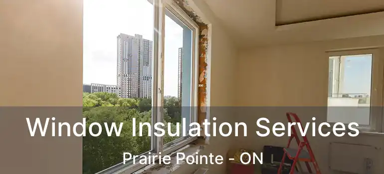  Window Insulation Services Prairie Pointe - ON