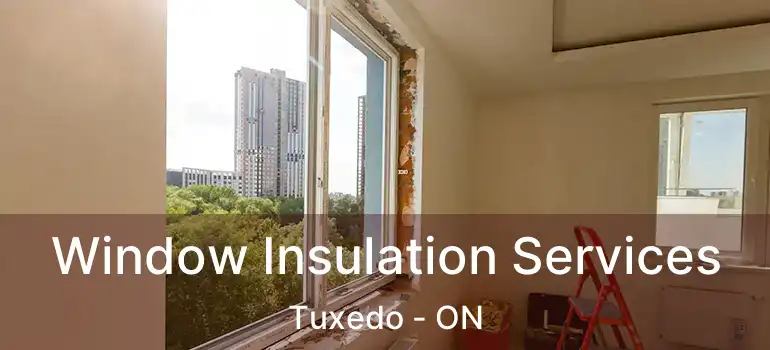  Window Insulation Services Tuxedo - ON