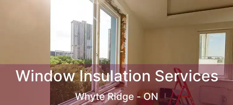  Window Insulation Services Whyte Ridge - ON