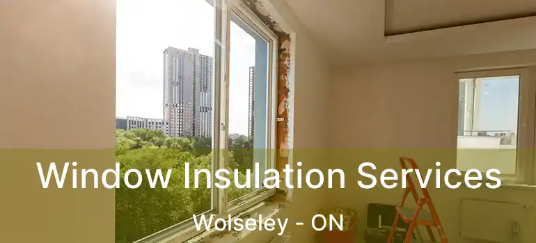  Window Insulation Services Wolseley - ON