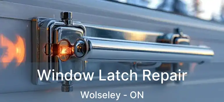  Window Latch Repair Wolseley - ON