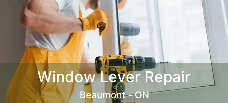  Window Lever Repair Beaumont - ON