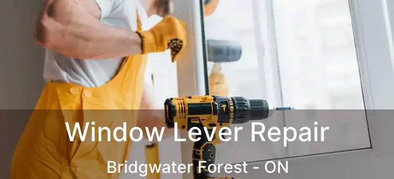  Window Lever Repair Bridgwater Forest - ON