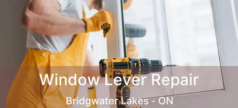  Window Lever Repair Bridgwater Lakes - ON