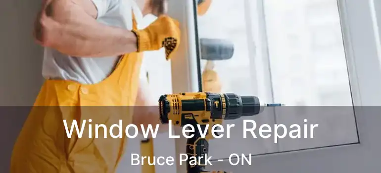  Window Lever Repair Bruce Park - ON
