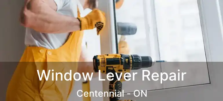  Window Lever Repair Centennial - ON
