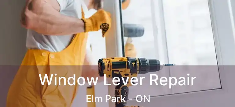  Window Lever Repair Elm Park - ON