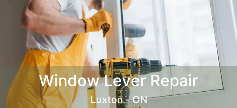  Window Lever Repair Luxton - ON