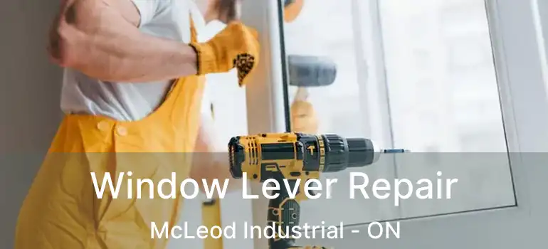  Window Lever Repair McLeod Industrial - ON