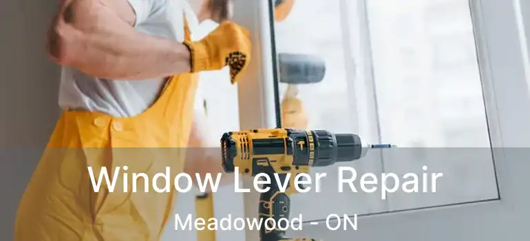  Window Lever Repair Meadowood - ON
