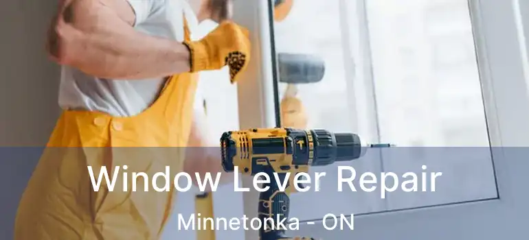  Window Lever Repair Minnetonka - ON